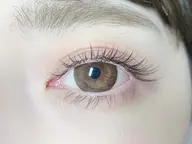 𓆩 フラットラッシュ 160本𓆪