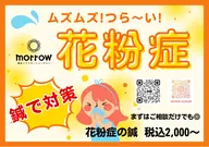 🌸花粉症の鍼🌸