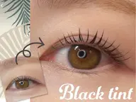 【韓国発】ブラックティント×パリジェンヌラッシュリフト