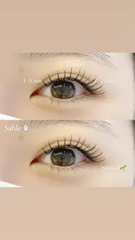 ✨️毛質選択自由✨️ミンクorセーブル 100本