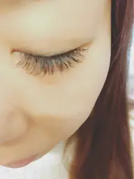 バインドロック140束