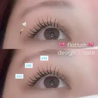 フラットラッシュ120本