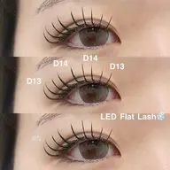 【2日限定】🌼LEDフラットラッシュ 140本+コーティング束感仕上げ🌼
