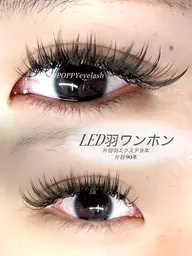 【LEDお試し羽ワンホン】自然に束感、ボリューミー可愛い❤特殊な羽エクステを使用したワンホンスタイル