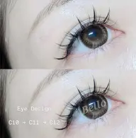 バインドロック 80束 コーティング付【3回目までクーポン使用可能】