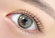 🌸「デカ目効果］🌸パリジェンヌorマツパ上+下/選べるデザイン+コテイング仕上がり✨