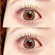 パリジェンヌラッシュリフト上下（アイSH付&コーティング仕上げ）