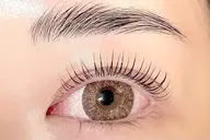 28日限定価格パリジェンヌ‪︎‬orまつげパーマ🧸