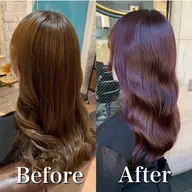 ヘアカラー (試験モデル)