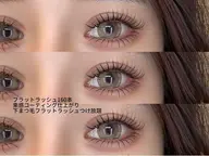 【モデル価格】フラットラッシュ160本