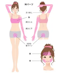 脱毛モデル募集します💫Mパーツ　3回