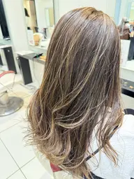 [🌟枚数制限なし🌟]🪿ハイライト+ベースカラー🧡