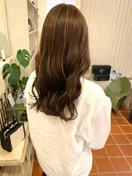 𓅹ハイライト𓅹