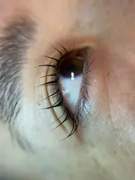 似合わせまつ毛パーマ コーティング付き