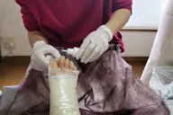 フット角質ケアコース