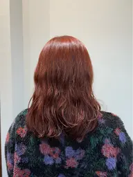 【ワンカラーでも高発色⭐️】カット＋カラー＋ケアトリートメント🌿