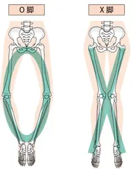 【むくみ、ダイエット】女性に大好評の『むくみ』『ダイエット』ケアコース✨なぜむくみや脂肪がつくのか？分かりやすく解説❗️