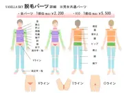 高校生学割！ボディー脱毛👨🏻‍🎓👩‍🎓画像のパーツ(10箇所まで)ご希望の脱毛部位お選びください。　男女🉑