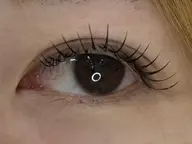 LEDフラットラッシュ100本✨クリアコーティング付き