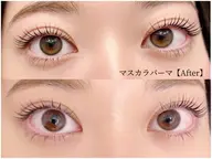 韓国発🇰🇷【マスカラパーマ】ブラックティント🎀🐈⬛➕コーティング付🫶🏻