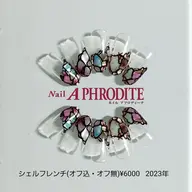 【数量限定‼】✳シェルフレンチ✳(デザイン内選択)オフ込✔ソフトジェルのみ