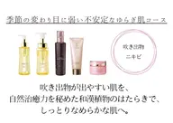季節の変わり目に弱い不安定な揺らぎ肌コース