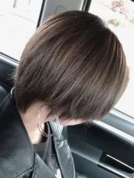 全体ハイライト入れ放題 （ロング料金あり）