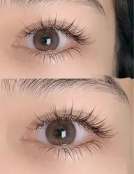 フラットラッシュ✨下まつげエクステ付け放題🌈🌈❤️（ブウラン/ブラック カラー）40本以上