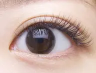 フラットラッシュつけ放題　160本以上（両目）