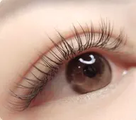 ⭐️フラットラッシュ🌹150本🌼8000円、オフ550円。2回から7500円