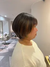 ショートカットモデル