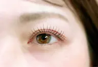 ラッシュリフト(トリートメント付き)