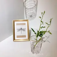 オフのみ(ファイリング込)