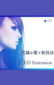 オフ込み🪴LEDダブルフラットラッシュ100束（200本）