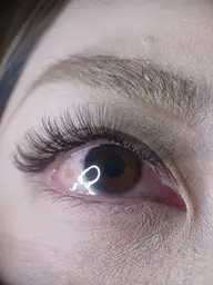 ☆リフエク☆ ラッシュリフト+LEDフラットラッシュ120本