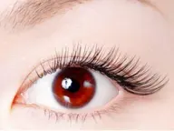 セーブルラッシュ 100本