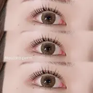 🖤マスカラパーマ《ブラックティント×上まつ毛パーマ》¥7,150→¥5,550【minimo限定🪽】