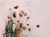 120分付け放題☆セーブルラッシュ☆