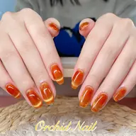 ワンカラー　マグネットネイル　オフ無し&自店オフ無料