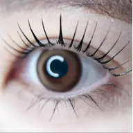 韓国発★マスカラ選べるラッシュリフト¥5700​〜​