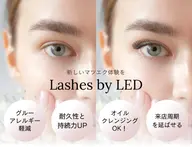 LEDフラットラッシュ100