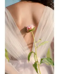 🫧【SHR脱毛】Mパーツ🫧(女性用)