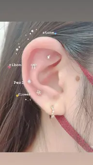 耳つぼ👂シンプル両耳12個まで🐹🧡