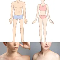 骨格診断セット