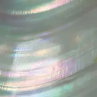 【他店付け替えOffあり】Foot👣┋Magnet / Flash + One Color┋