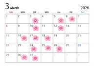 2回目以降の方はこちらへ