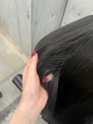 ワンカラー寒色🫐