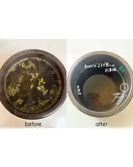 【4/2.3限定🔥】見つけた方のみ｜芯から温まる黄土よもぎ蒸し♨️ ¥3,333