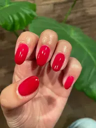 ジェルネイル／ワンカラー（オフなし）