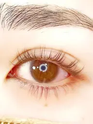 【初回】上下･カールが選べる韓国風まつげパーマ(コーティング仕上げ付き)